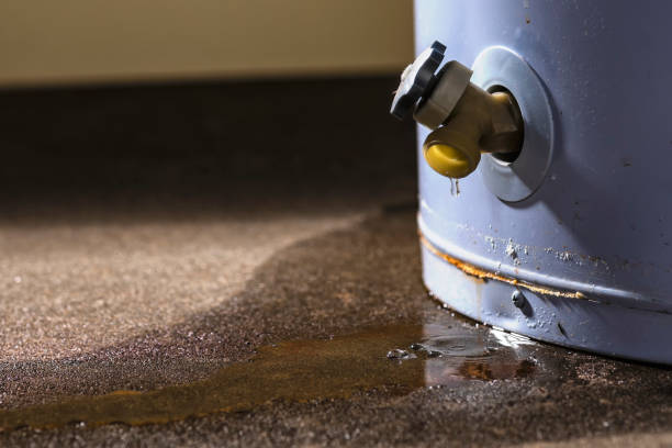 Reliable Wind Gap, PA Water damage restoration Solutions