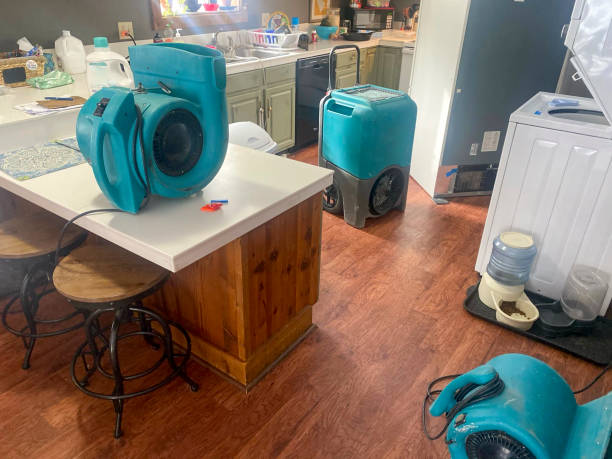 Best Fire Damage Restoration  in Wind Gap, PA
