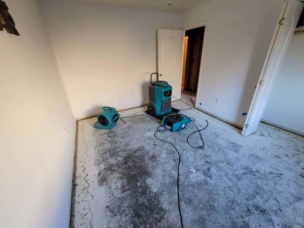 Best Water damage cleanup near me  in Wind Gap, PA