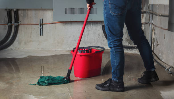 Best Water damage restoration mold remediation  in Wind Gap, PA