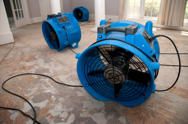 Best Sewage cleanup and water damage restoration  in Wind Gap, PA
