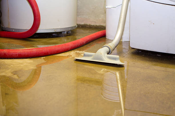 Wind Gap, PA Water damage restoration Company