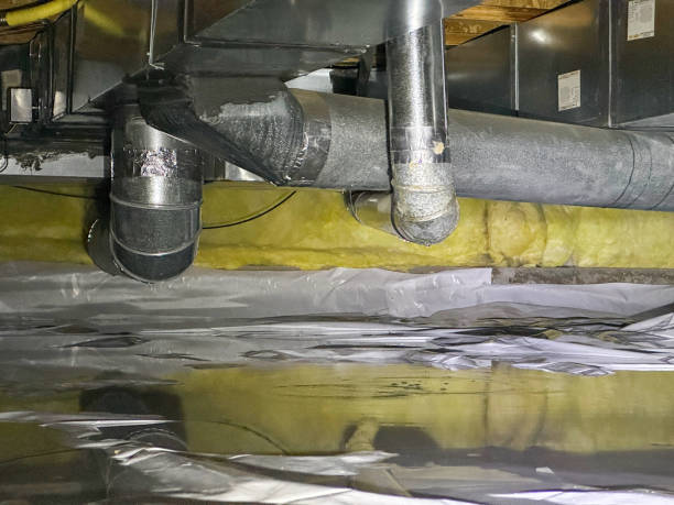 Best Local water damage restoration  in Wind Gap, PA