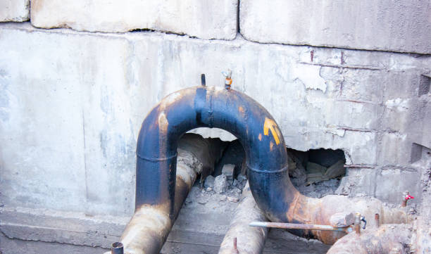 Best Mold removal after water damage  in Wind Gap, PA