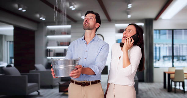 Best Flood damage cleanup  in Wind Gap, PA